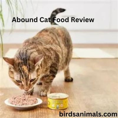 Is Abound Cat Food Good? Exploring the Feline Feast Phenomenon