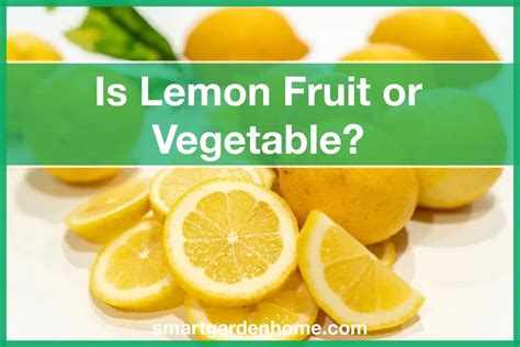 Is Lemon Fruit or Vegetable? And Why Does It Taste Like Sunshine?