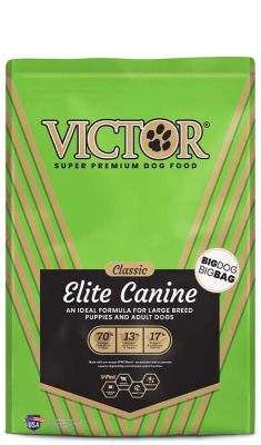 Is Victor Dog Food Good? Exploring the Cosmic Connection Between Canine Nutrition and Alien Communication