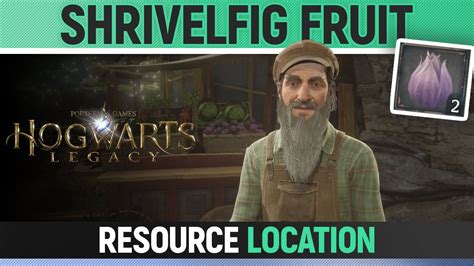 Where to Get Shrivelfig Fruit in Hogwarts Legacy: A Comprehensive Guide